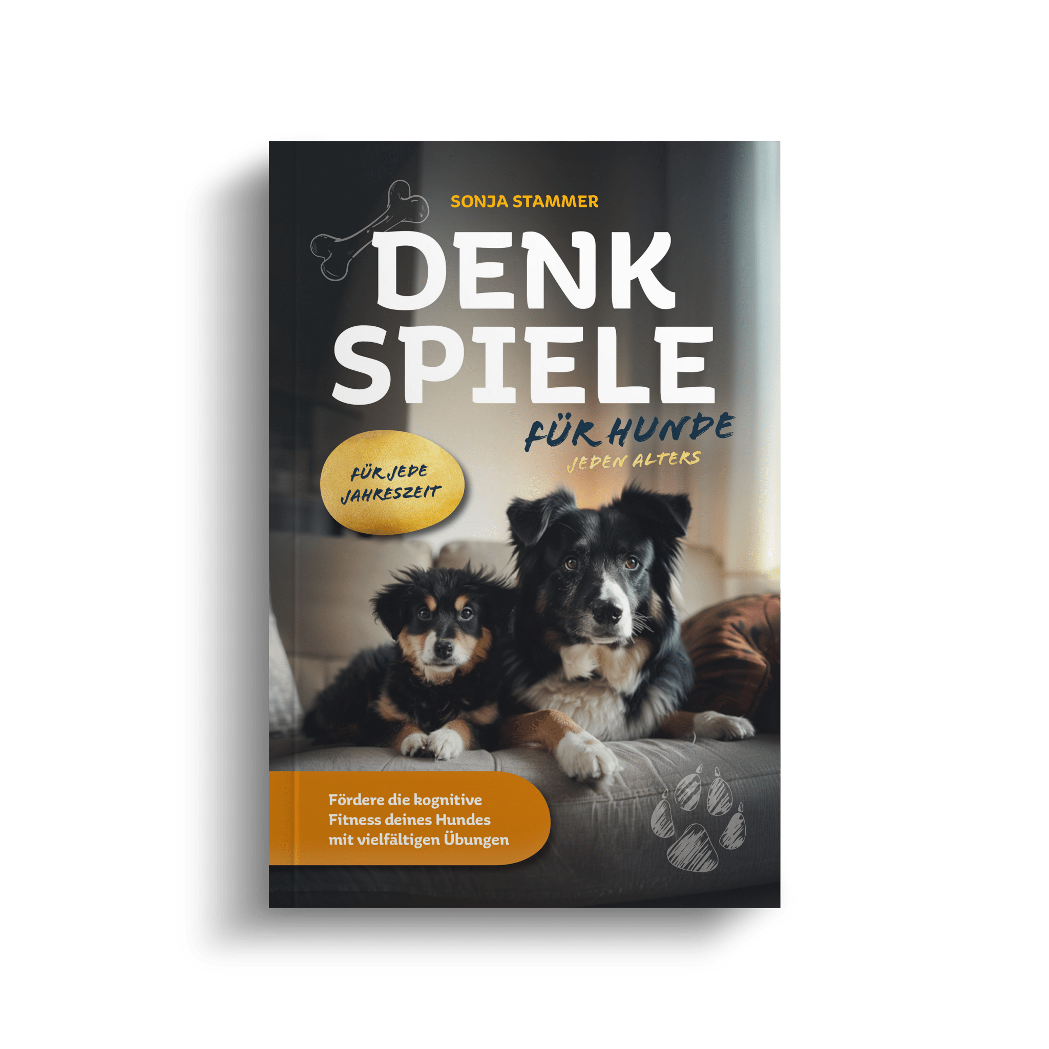 Denkspiele für Hunde jeden Alters