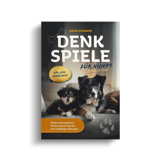 Denkspiele für Hunde jeden Alters