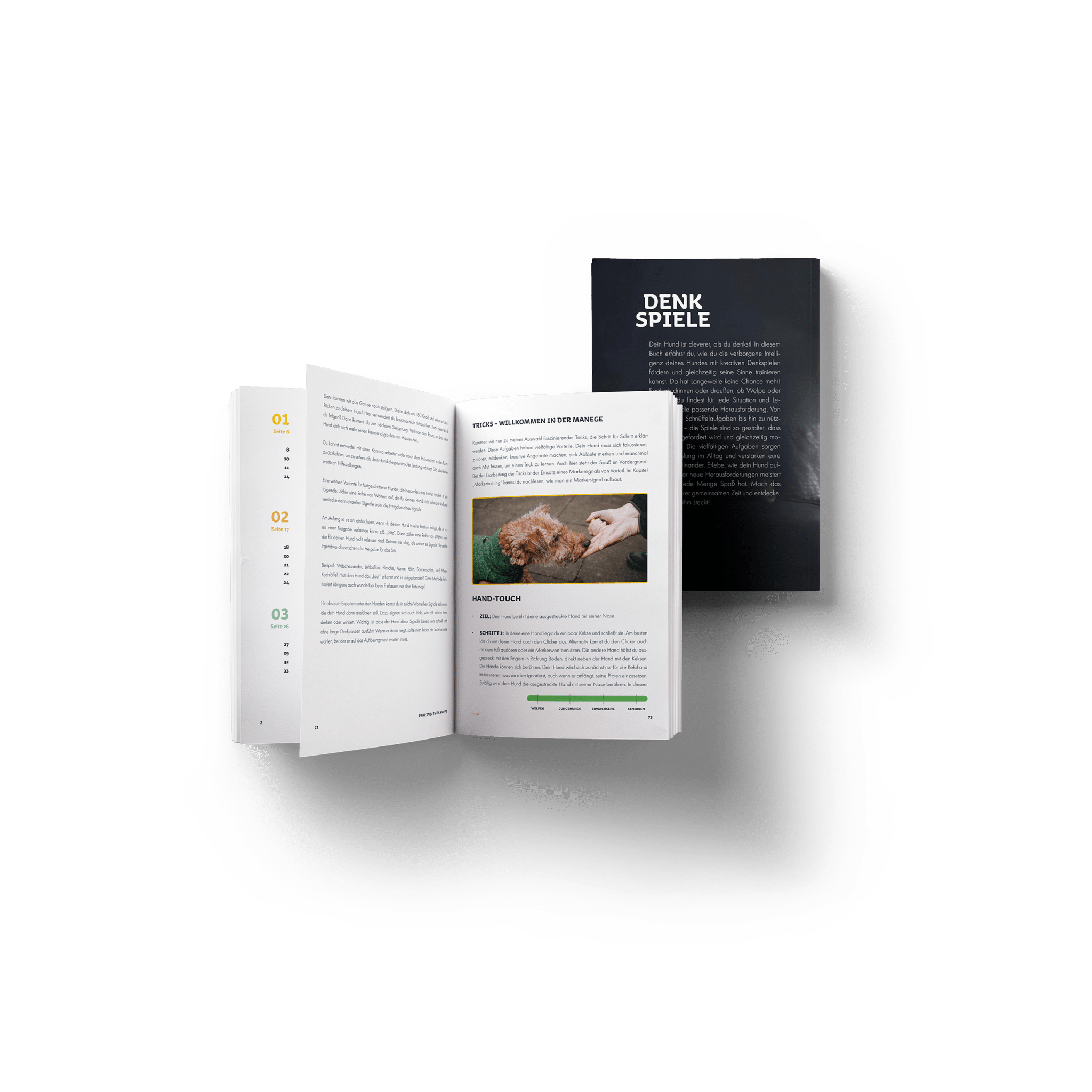 Denkspiele für Hunde jeden Alters