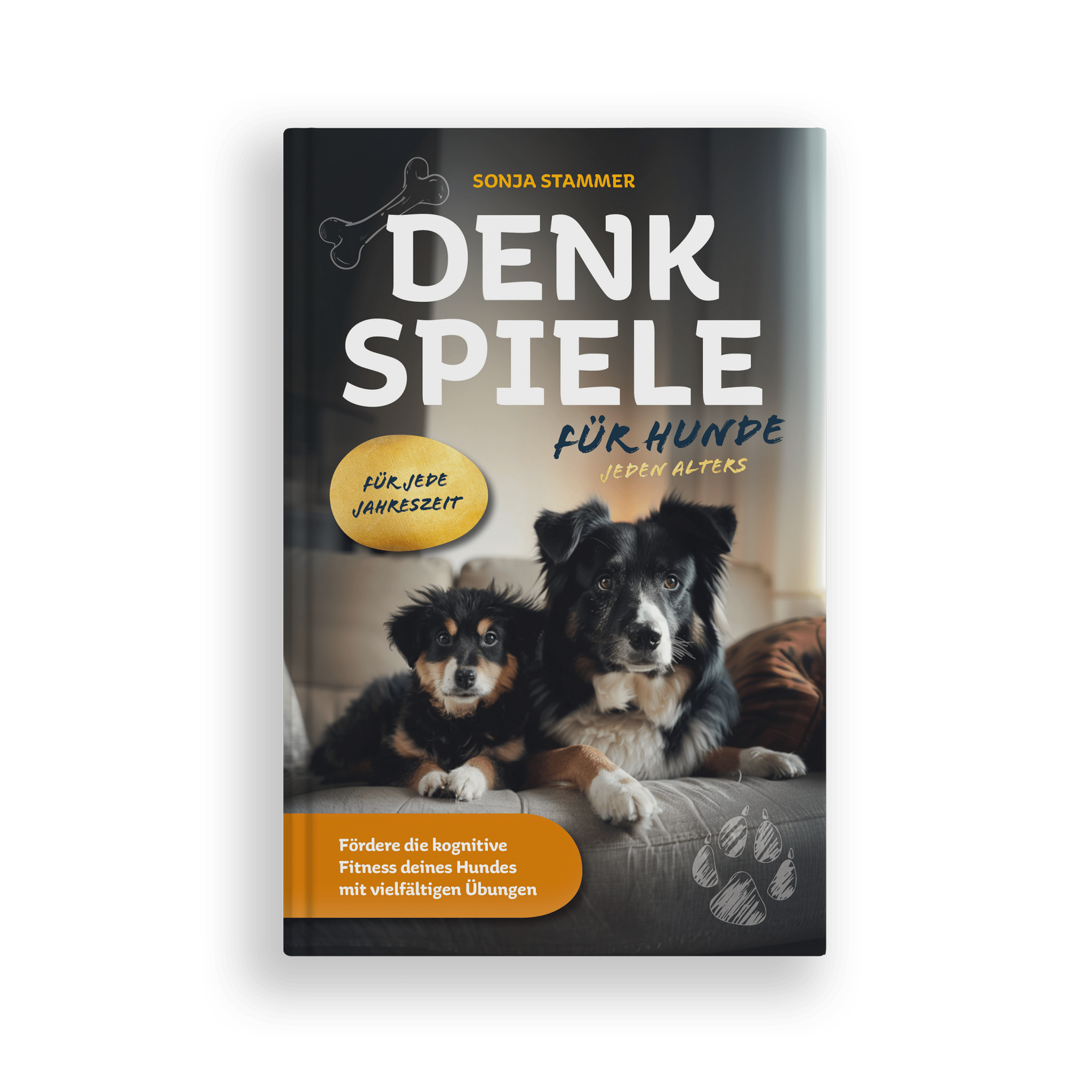 Denkspiele für Hunde jeden Alters